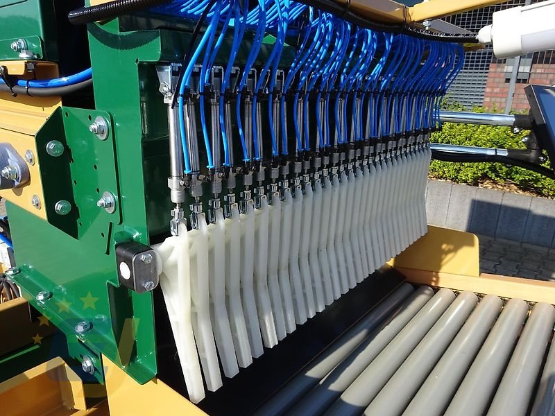 Lagertechnik du type EURO-Jabelmann Optischer Sortierer 120/85 OS – Karevo Duo85 System, Neumaschine en Itterbeck (Photo 9)