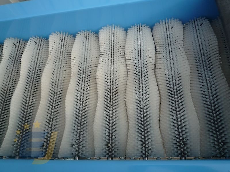 Lagertechnik от тип EURO-Jabelmann Bürstenmaschine, V 5510; NEU, Neumaschine в Itterbeck (Снимка 3)