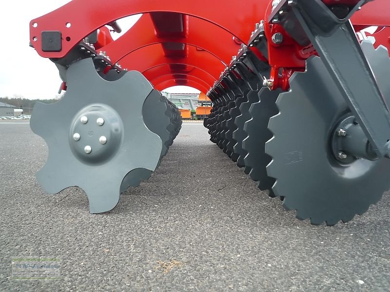 Kurzscheibenegge del tipo Unia Ares XL, 4,50 m, 560 mm Scheiben, Rohrstabwalze 600 mm, NEU, Neumaschine In Itterbeck (Immagine 12)