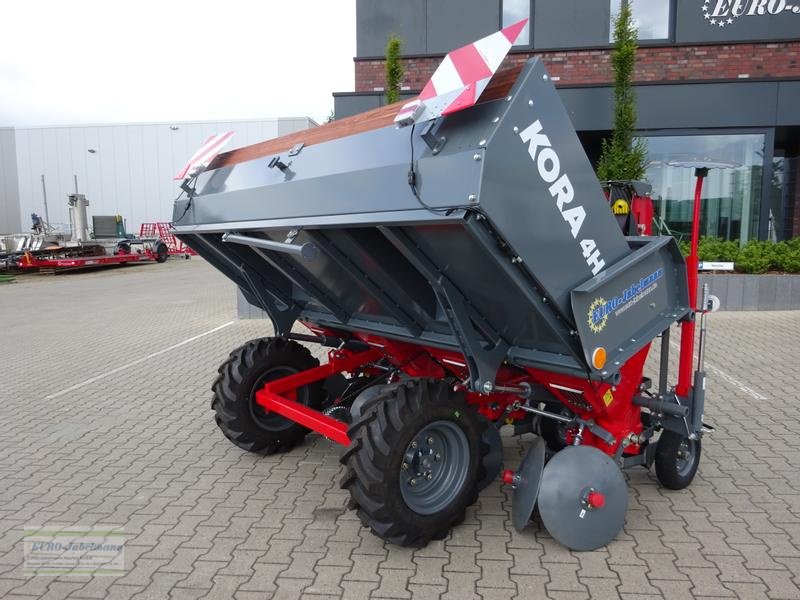 Kartoffellegemaschine Türe ait Unia Kartoffellegemaschine Kora 4 H, hydraulischer Kippbunker, NEU, Neumaschine içinde Itterbeck (resim 7)