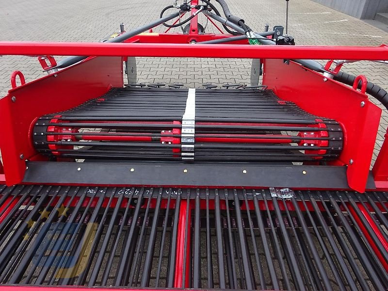 Kartoffelroder typu Unia Siebkettenroder Wega 1400, 2 Reihen, NEU, Neumaschine v Itterbeck (Obrázek 13)