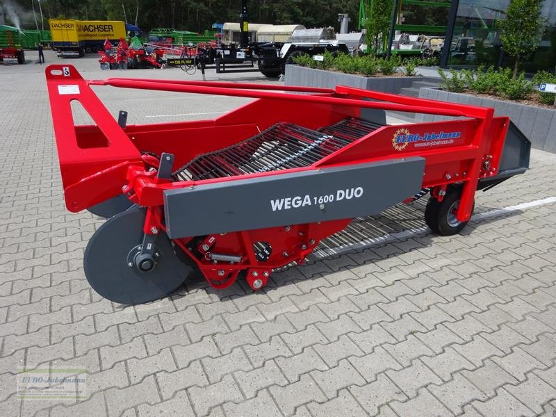 Kartoffelroder tip Unia Siebkettenroder Wega 1600 DUO, 2 Reihen, 2 Ketten, NEU, Neumaschine in Itterbeck (Poză 2)