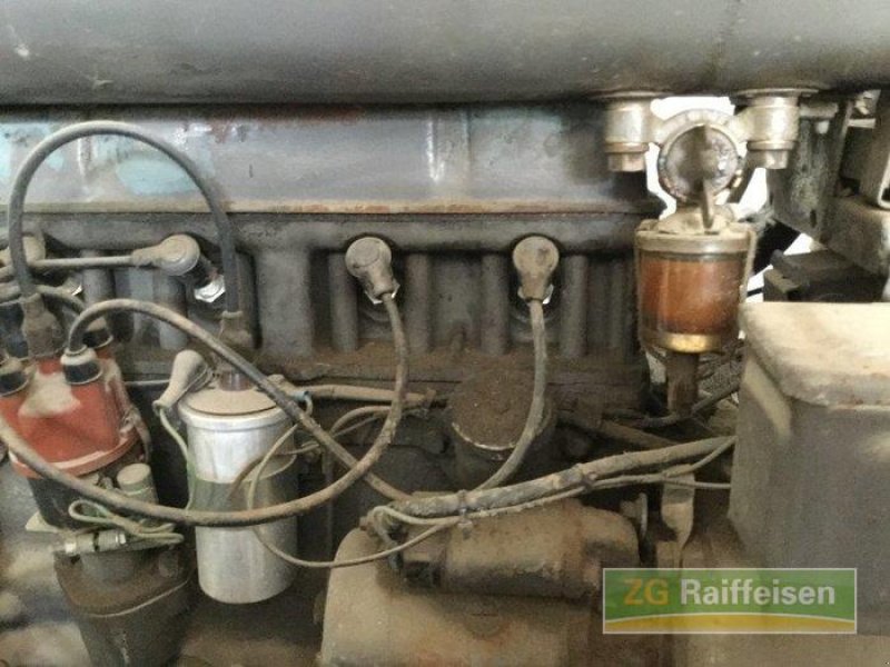 Oldtimer-Traktor typu Massey Ferguson TED, Gebrauchtmaschine v Salem-Neufrach (Obrázek 11)