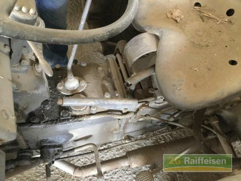 Oldtimer-Traktor typu Massey Ferguson TED, Gebrauchtmaschine v Salem-Neufrach (Obrázek 3)