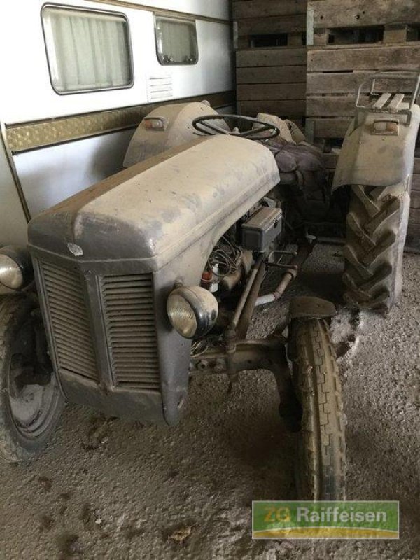 Oldtimer-Traktor typu Massey Ferguson TED, Gebrauchtmaschine w Salem-Neufrach (Zdjęcie 1)