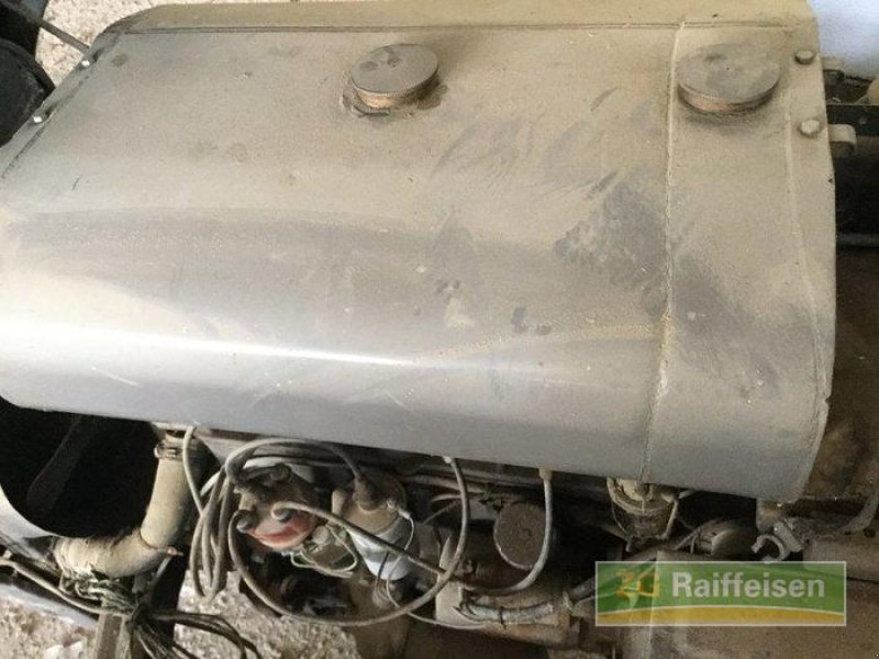 Oldtimer-Traktor typu Massey Ferguson TED, Gebrauchtmaschine v Salem-Neufrach (Obrázek 8)