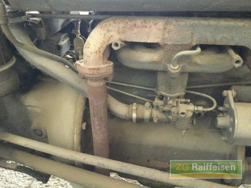 Oldtimer-Traktor typu Massey Ferguson TED, Gebrauchtmaschine v Salem-Neufrach (Obrázek 9)