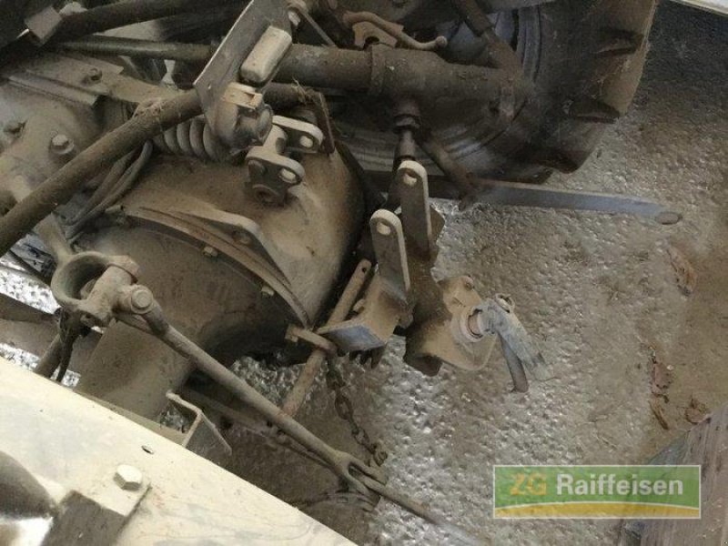 Oldtimer-Traktor typu Massey Ferguson TED, Gebrauchtmaschine v Salem-Neufrach (Obrázek 4)