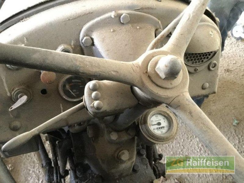 Oldtimer-Traktor typu Massey Ferguson TED, Gebrauchtmaschine v Salem-Neufrach (Obrázek 12)