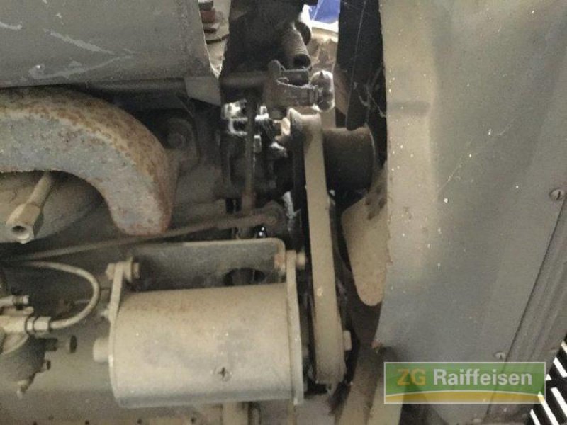 Oldtimer-Traktor typu Massey Ferguson TED, Gebrauchtmaschine v Salem-Neufrach (Obrázek 10)