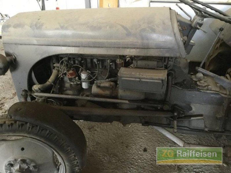 Oldtimer-Traktor typu Massey Ferguson TED, Gebrauchtmaschine v Salem-Neufrach (Obrázek 2)