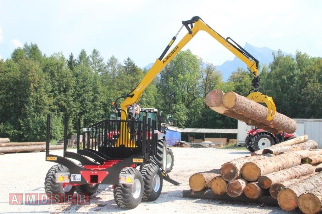 Rückewagen & Rückeanhänger Türe ait A. Moser MHL-9 Lenkachse mit MKD-6,9, Neumaschine içinde Altmünster (resim 9)