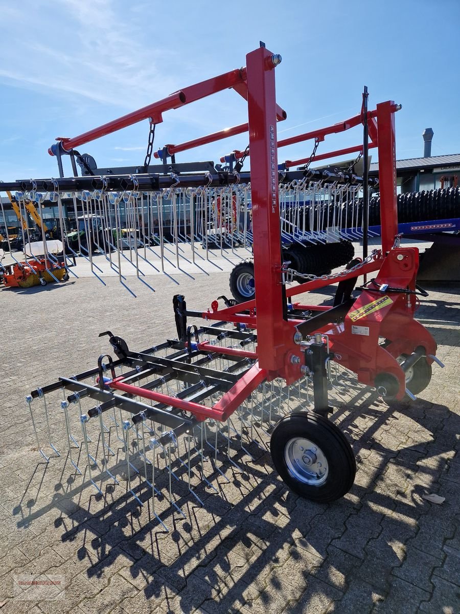 Striegel tipa Sonstige Dominator Striegel, Gebrauchtmaschine u Tarsdorf (Slika 9)