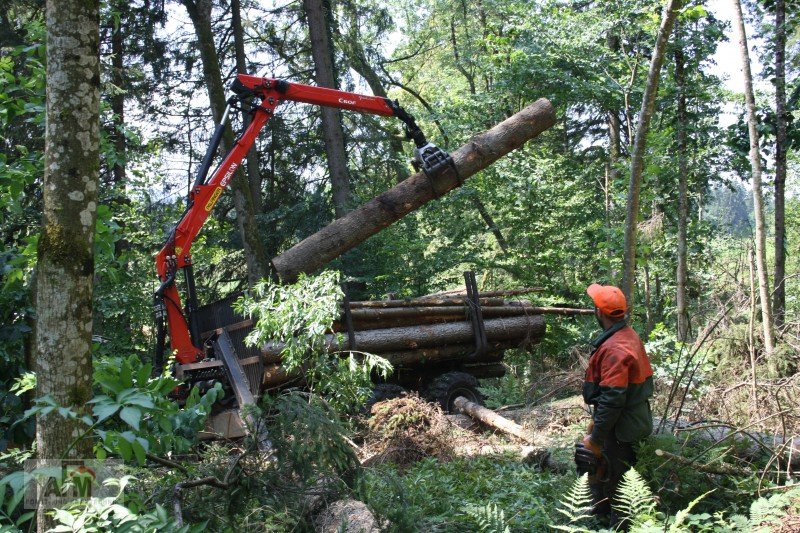 Rückewagen & Rückeanhänger типа AFM RW16NAF, Neumaschine в Bodenwöhr/ Taxöldern (Фотография 7)