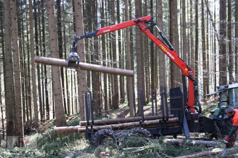 Rückewagen & Rückeanhänger типа AFM RW16NAF, Neumaschine в Bodenwöhr/ Taxöldern (Фотография 13)