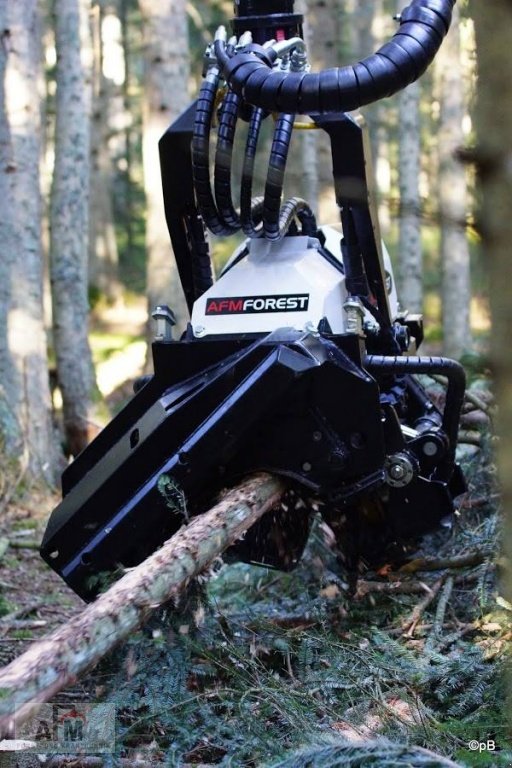 Aggregat & Anbauprozessor типа AFM AFM 35, Neumaschine в Bodenwöhr/ Taxöldern (Фотография 1)